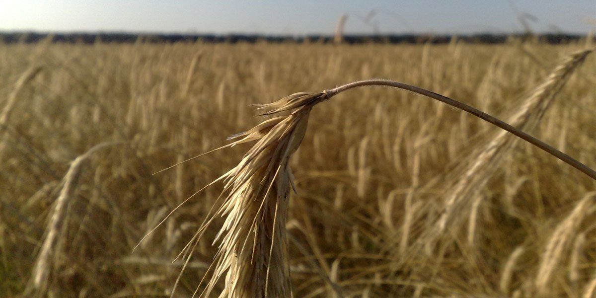 homme-stresse-prise-de-decision homme-stresse-prise-de-decision