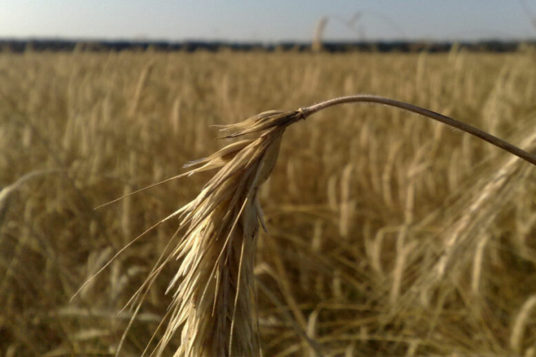 homme-stresse-prise-de-decision